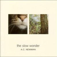 The Slow Wonder Mp3