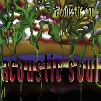 Acoustic Soul Mp3