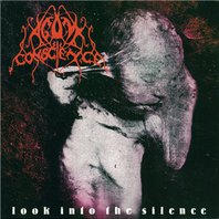Look Into The Silence Mp3