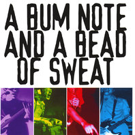 A Bum Note And A Bead Of Sweat Mp3