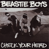 Check Your Head (Deluxe Edition 2009) CD2 Mp3