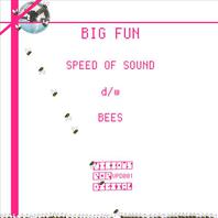 Speed Of Sound / Bees Mp3