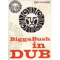 BiggaBush In Dub Mp3