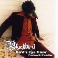 Bird's Eye View Mp3