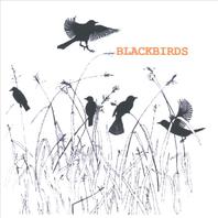 Blackbirds Mp3
