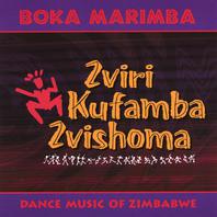 Zviri Kufamba Zvishoma Mp3