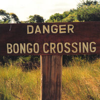 Danger Bongo Crossing Mp3