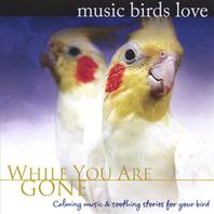 Music Birds Love: While You Are Gone Mp3