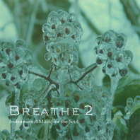 Breathe 2 Mp3