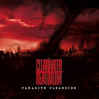 Parasite Cleansing Mp3