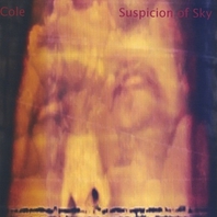 Suspicion Of Sky Mp3