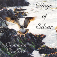 Wings of Silver Mp3