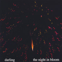 The Night In Bloom Mp3