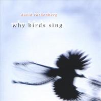 Why Birds Sing Mp3