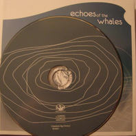Echoes Of The Whales Mp3