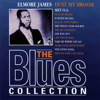 Dust My Broom, The Blues Colledtion 17 Mp3