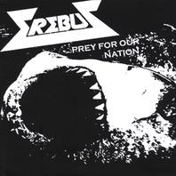Prey for our Nation Mp3
