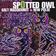 Spotted Owl Mp3