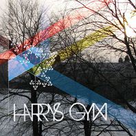 Harrys Gym Mp3