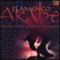 Flamenco Arabe Mp3
