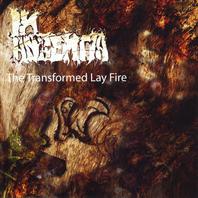 The Transformed Lay Fire Mp3