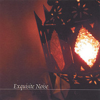 Exquisite Noise Mp3