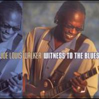 Witness To The Blues Mp3