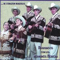 De Corazon Huasteco:  Huapangos con los Hermanos Herrera Mp3