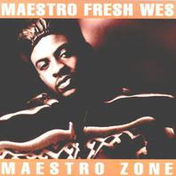 Maestro Zone Mp3