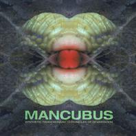 Synthetic Pandemonium: Chronicles Of Devastation Mp3