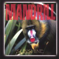 Sunshine CD Mp3