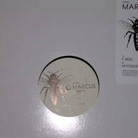 F Bees (DDR021)-Vinyl Mp3