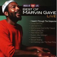 Music Of Your Life Best Of Marvin Gaye Live Mp3