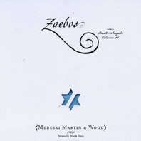 Zaebos - Book Of Angels Vol.11 Mp3
