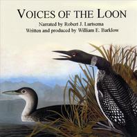 Voices of The Loon Mp3