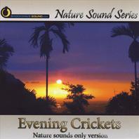 Evening Crickets (Nature Sounds Only version) Mp3