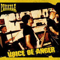 Voice of anger Mp3