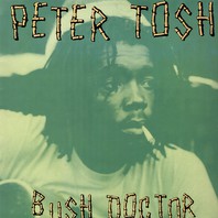 Bush Doctor (Vinyl) Mp3