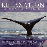 Beauty & Positive Vibrations Of Nature Sounds Vol.6 Mp3