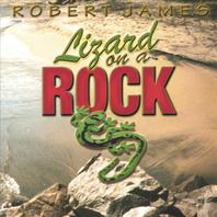 Lizard On A Rock Mp3