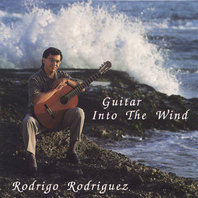 Guitar Into The Wind Mp3