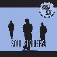 Soul Flowers Mp3