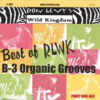 Best Of Rlwk - B-3 Organic Grooves Mp3