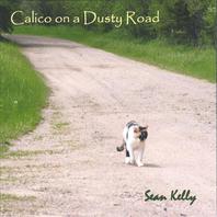 Calico on a Dusty Road Mp3