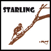 starling Mp3