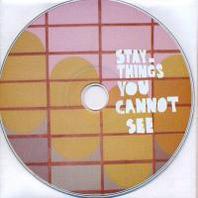 Things You Cannot See Mp3