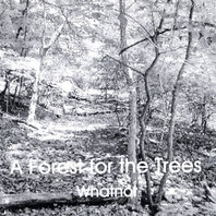 A Forest for the Trees Mp3
