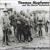 Chimurenga Explosion Mp3