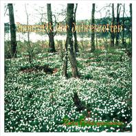 Soft Springbreak (Zartes Frühlingserwachen) Mp3