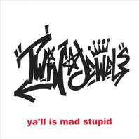 ya'll is mad stupid Mp3